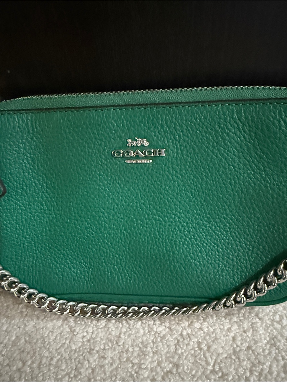 Coach Nolita 19 Green Pebbled Leather Chain Shoulder Handbag Wristlet - Picture 2 of 11